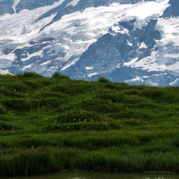 瑞士苏黎世-莱茵瀑布-施泰因老城一日包车游【支持行程定制】 瑞士苏黎世-莱茵瀑布-施泰因老城一日包车游【支持行程定制】