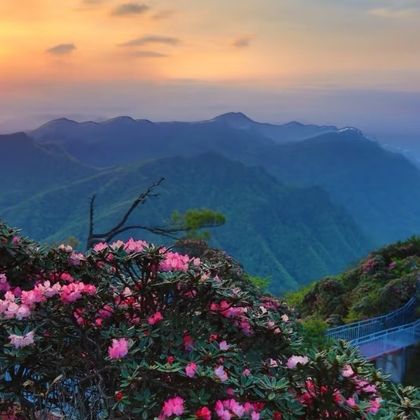 米仓山国家森林公园一日游 米仓山国家森林公园一日游