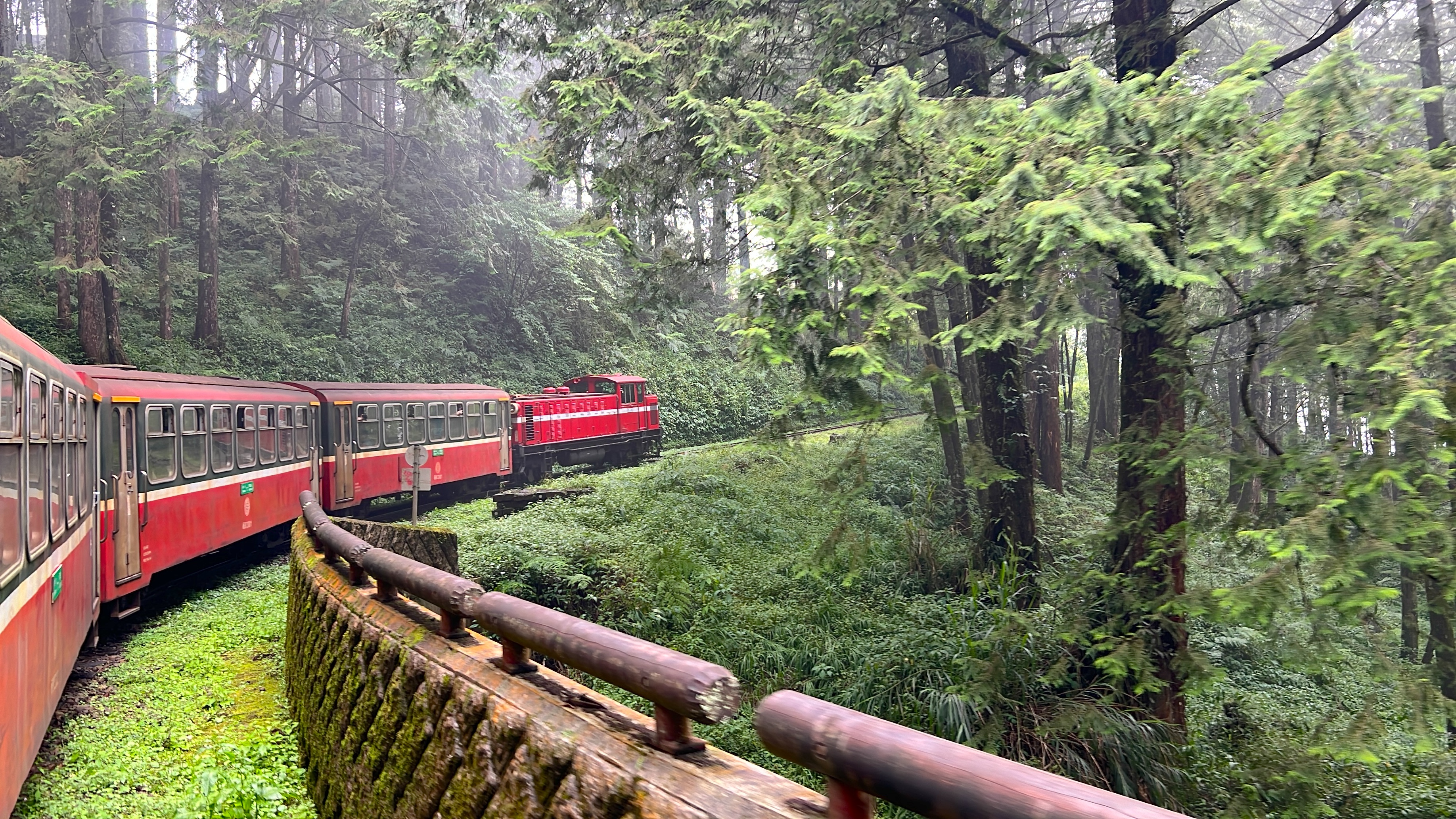 阿里山国家森林游乐区一日游【台中/嘉义/高雄|私人包车导览】 阿里山国家森林游乐区一日游【台中/嘉义/高雄|私人包车导览】