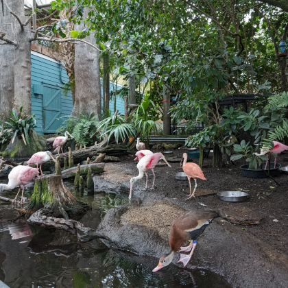 美国奥兰多出发:佛州水族馆+达利博物馆一日游(专属客服服务) 美国奥兰多出发:佛州水族馆+达利博物馆一日游(专属客服服务)