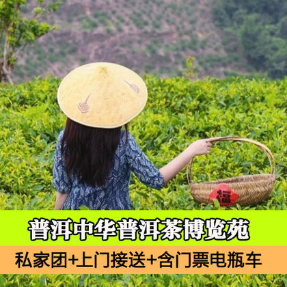 普洱中华普洱茶博览苑一日游 普洱中华普洱茶博览苑一日游