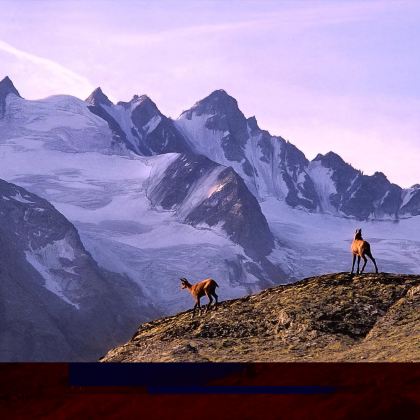 法国波尔多-男爵酒庄-龙船酒庄-力士金酒庄【酒庄包车一日游】 法国波尔多-男爵酒庄-龙船酒庄-力士金酒庄【酒庄包车一日游】