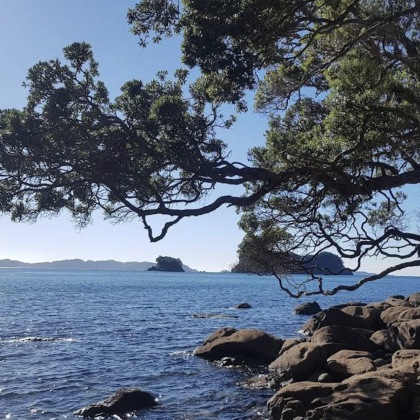 新西兰奥克兰-派希亚-凯里凯里-可定制【中文专车-惬意舒适】 新西兰奥克兰-派希亚-凯里凯里-可定制【中文专车-惬意舒适】