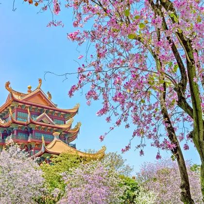 福州+林则徐纪念馆+南后街一日游 福州+林则徐纪念馆+南后街一日游