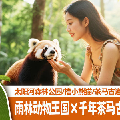 普洱太阳河森林公园+普洱茶马古道遗址公园一日游【纯玩私家团】 普洱太阳河森林公园+普洱茶马古道遗址公园一日游【纯玩私家团】