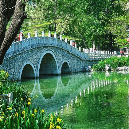 山东青州不夜城+井塘古村+青州博物馆一日游可英文服务 山东青州不夜城+井塘古村+青州博物馆一日游可英文服务