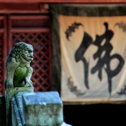 天台山风景区+国清寺+大瀑布一日【含大门票/优待票/免费票】 天台山风景区+国清寺+大瀑布一日【含大门票/优待票/免费票】