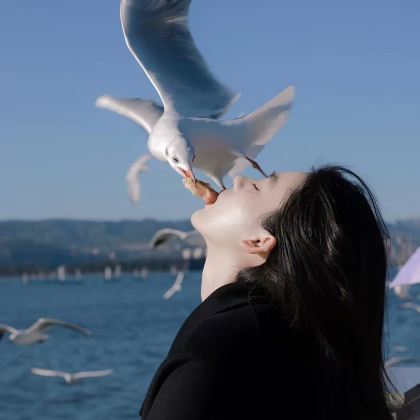 【环湖公路】博斯腾湖莲海世界+大河口+白鹭洲+海心山一日游 【环湖公路】博斯腾湖莲海世界+大河口+白鹭洲+海心山一日游