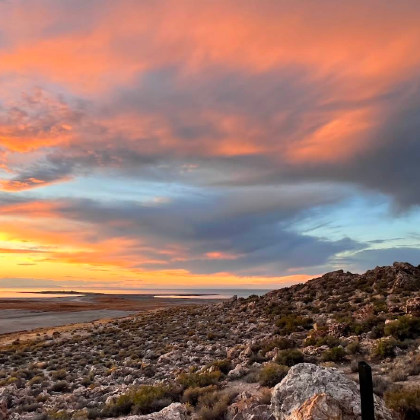 美国盐湖城市溪峡谷+羚羊岛州立公园+大盐湖一日游【中文专车】 美国盐湖城市溪峡谷+羚羊岛州立公园+大盐湖一日游【中文专车】