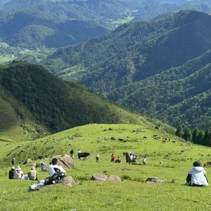 广西玉林六五顶-草甸高山徒步-6公里+难度系数1颗星 广西玉林六五顶-草甸高山徒步-6公里+难度系数1颗星