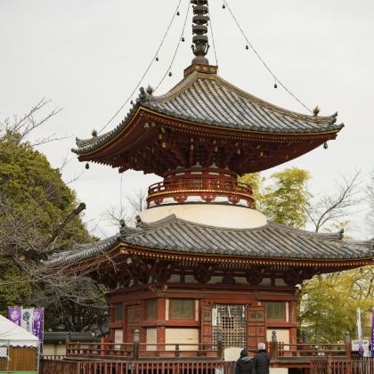 东京出发|川越小江户一日游喜多院-小江户川越一番街-冰川神社 东京出发|川越小江户一日游喜多院-小江户川越一番街-冰川神社