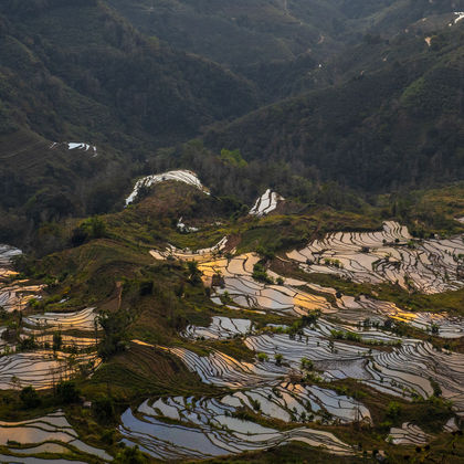 阿者科古村景区+坝达景区+多依树梯田+爱春蓝梯田+老虎嘴梯田一日游 阿者科古村景区+坝达景区+多依树梯田+爱春蓝梯田+老虎嘴梯田一日游