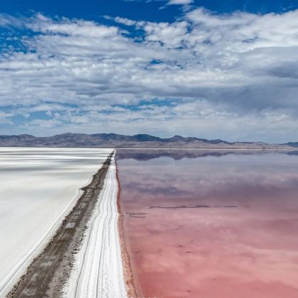 美国盐湖城--圣殿广场-红丘花园 - 中文司导+ 行程可调 美国盐湖城--圣殿广场-红丘花园 - 中文司导+ 行程可调