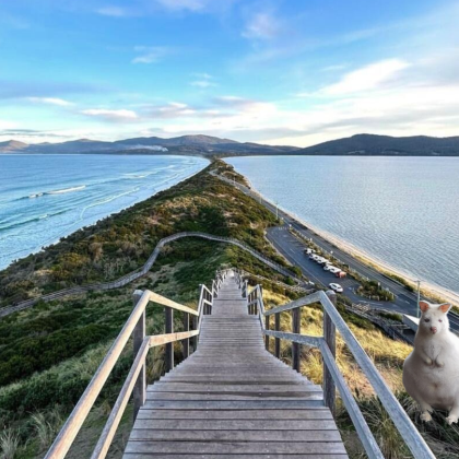 塔斯马尼亚布鲁尼岛一日游「上门接送|中文服务|环岛游」 塔斯马尼亚布鲁尼岛一日游「上门接送|中文服务|环岛游」