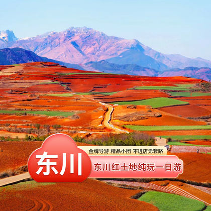 东川红土地一日游 东川红土地一日游