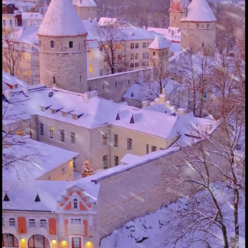 爱沙塔林市政厅+托姆比亚山观景台 +卡德里奥花园+塔林电视塔 爱沙塔林市政厅+托姆比亚山观景台 +卡德里奥花园+塔林电视塔
