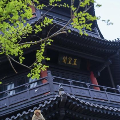 连云港民主路老街+花果山风景区+盐河巷历史文化街区+孔望山一日游 连云港民主路老街+花果山风景区+盐河巷历史文化街区+孔望山一日游