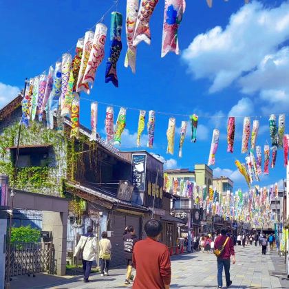 东京鸿巢花火大会+川越冰川神社一日游【精品小团可选酒店接送】 东京鸿巢花火大会+川越冰川神社一日游【精品小团可选酒店接送】