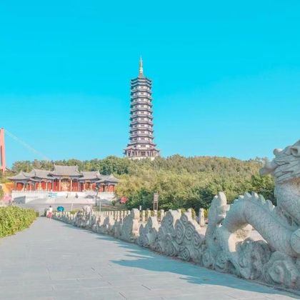 沈阳怪坡+沈阳怪坡虎园一日游 沈阳怪坡+沈阳怪坡虎园一日游