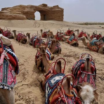 沙漠之门+三五九旅纪念馆一日活动 沙漠之门+三五九旅纪念馆一日活动