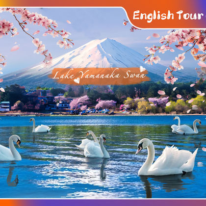富士山+新仓山浅间公园+忍野八海+河口湖+山中湖一日游 富士山+新仓山浅间公园+忍野八海+河口湖+山中湖一日游