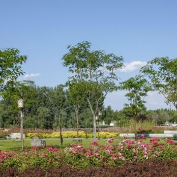 中国廊坊:永定河自行车公园+廊坊自然公园+|英|法|日导游O 中国廊坊:永定河自行车公园+廊坊自然公园+|英|法|日导游O