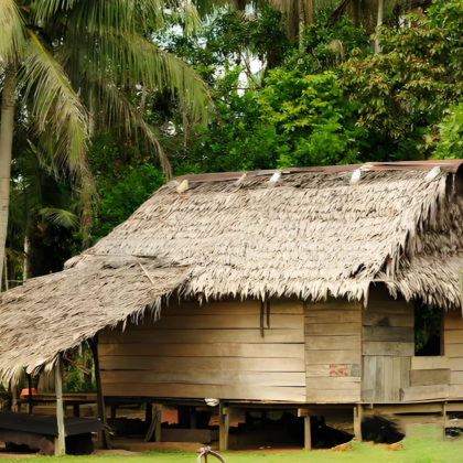 巴西+玛瑙斯-亚马逊河-圣塞巴斯蒂安教堂-中文专车-安全无忧 巴西+玛瑙斯-亚马逊河-圣塞巴斯蒂安教堂-中文专车-安全无忧