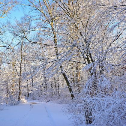 挪威卑尔根+松恩峡湾+艾于兰峡湾|中文司导【全境可定制】 挪威卑尔根+松恩峡湾+艾于兰峡湾|中文司导【全境可定制】