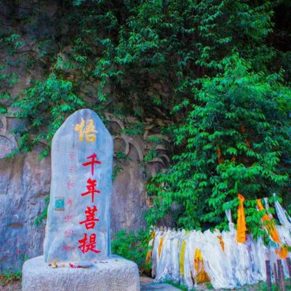 香格里拉巴拉格宗风景区一日游【景区直通车+纯玩+出行无忧】 香格里拉巴拉格宗风景区一日游【景区直通车+纯玩+出行无忧】