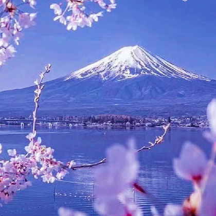 日本东京富士山一日游