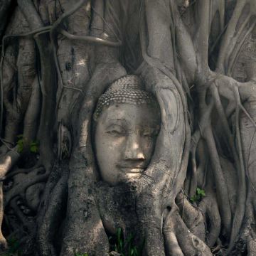 曼谷出发大城府联合国教科文组织日游含昭披耶河游船 曼谷出发大城府联合国教科文组织日游含昭披耶河游船