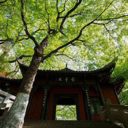 奉节白帝城·瞿塘峡景区+三峡之巅一日游 奉节白帝城·瞿塘峡景区+三峡之巅一日游
