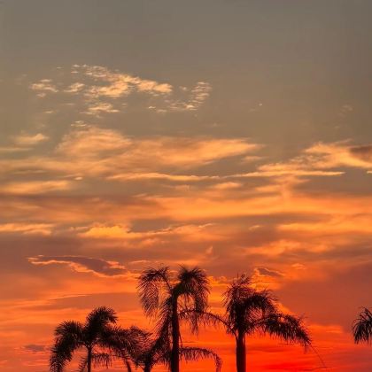 惠州出发双月湾包车10小时一天游/打卡狮子岛+海龟湾+情人堤 惠州出发双月湾包车10小时一天游/打卡狮子岛+海龟湾+情人堤