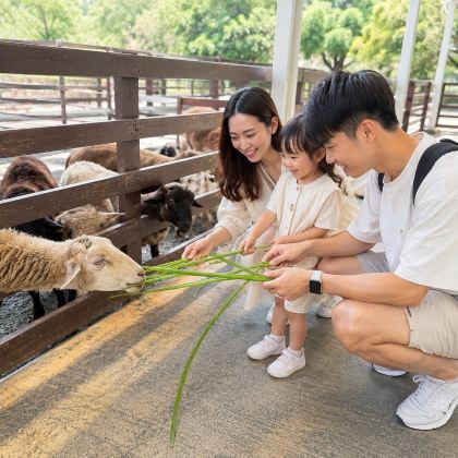 宜蘭經典一日遊|蘭陽博物館・動物王國・初咪農場 含蔥油餅體驗 宜蘭經典一日遊|蘭陽博物館・動物王國・初咪農場 含蔥油餅體驗