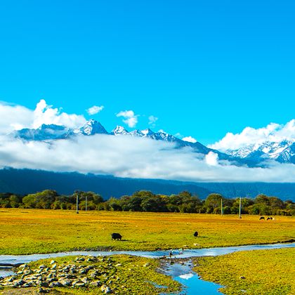 西藏林芝巴松措+卡定沟景区一日游