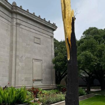 美国休斯顿自然科学博物馆+赫曼公园一日游/行程可调-随性而行 美国休斯顿自然科学博物馆+赫曼公园一日游/行程可调-随性而行