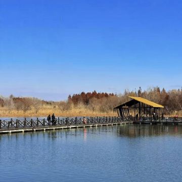溱湖湿地之美,溱潼古镇之韵 溱湖湿地之美,溱潼古镇之韵
