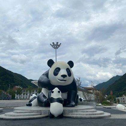 陕西汉中:佛坪山熊猫旅游区+龙头山+翻译/导游/包车游O 陕西汉中:佛坪山熊猫旅游区+龙头山+翻译/导游/包车游O