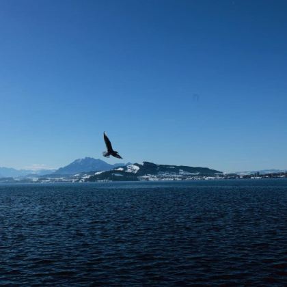 苏黎世出发,楚河小镇+楚格湖漫步一日游 苏黎世出发,楚河小镇+楚格湖漫步一日游