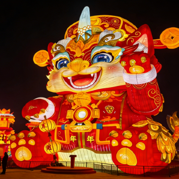 自贡恐龙国际灯会彩灯大世界【包车独立出行&不拼车&上门接送】 自贡恐龙国际灯会彩灯大世界【包车独立出行&不拼车&上门接送】