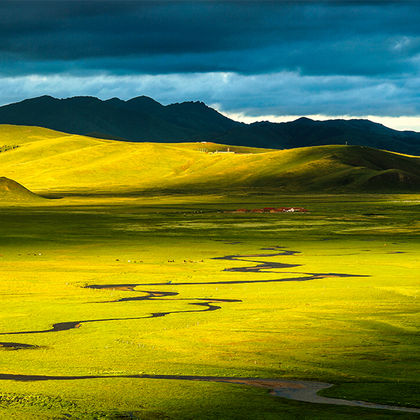 内蒙古锡林郭勒盟乌珠穆沁草原一日游