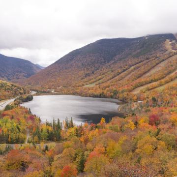 美国波士顿往返白山国家森林一日游【中文包车上门接】 美国波士顿往返白山国家森林一日游【中文包车上门接】