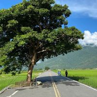 伯朗大道+三仙台+铁花村音乐聚落+太麻里乡一日游 伯朗大道+三仙台+铁花村音乐聚落+太麻里乡一日游