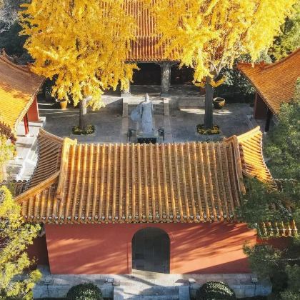 徐州宝莲寺+戏马台+海洋极地世界+龟山汉墓一日游中英文服务 徐州宝莲寺+戏马台+海洋极地世界+龟山汉墓一日游中英文服务