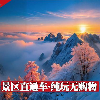 郴州莽山五指峰景区一日游【纯玩+门票+往返索道+车辆接送-】 郴州莽山五指峰景区一日游【纯玩+门票+往返索道+车辆接送-】