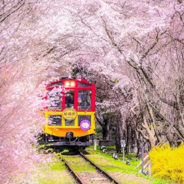 京都岚山+渡月桥一日游,深入京都小众景点,邂逅樱花和竹林秘境 京都岚山+渡月桥一日游,深入京都小众景点,邂逅樱花和竹林秘境