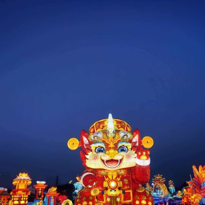 第32届自贡国际恐龙灯会(2026 年)成都包车往返 第32届自贡国际恐龙灯会(2026 年)成都包车往返