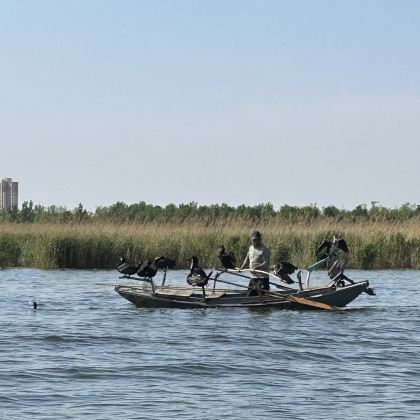 白洋淀一日游·专车接送【家庭·团建·考察·定制·研学】 白洋淀一日游·专车接送【家庭·团建·考察·定制·研学】