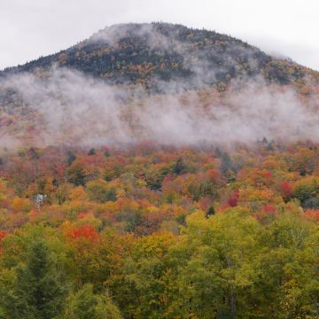 美国波士顿往返白山国家森林一日游【中文包车上门接】 美国波士顿往返白山国家森林一日游【中文包车上门接】
