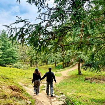 霍比特森林一日游【梦幻森林+原始秘境+自然氧吧+亲子友好】 霍比特森林一日游【梦幻森林+原始秘境+自然氧吧+亲子友好】